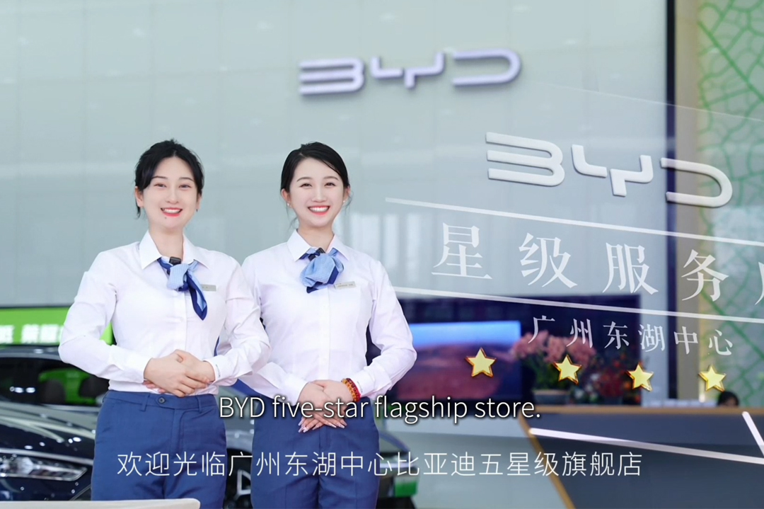 BYD Five-Star Standard Flagship Store